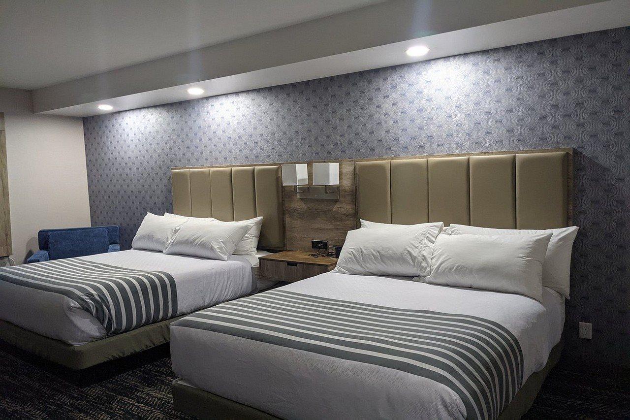 Best Western Premier Executive Residency メディシンハット エクステリア 写真